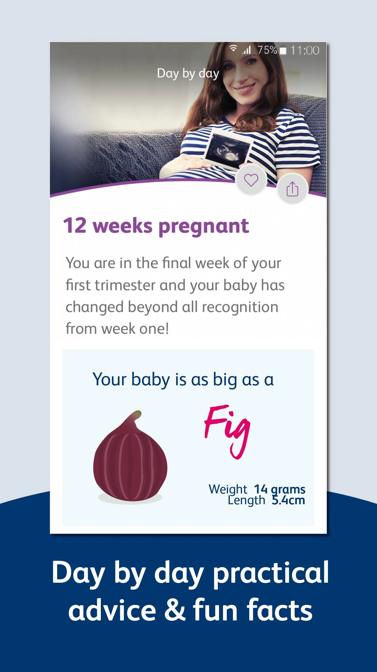 Bounty - Pregnancy & Baby App screenshot